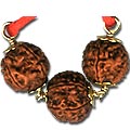 Rudraksha Jewelry at ogpgems.com